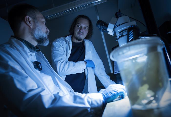 Paco Cárdenas and Julio A. Díaz