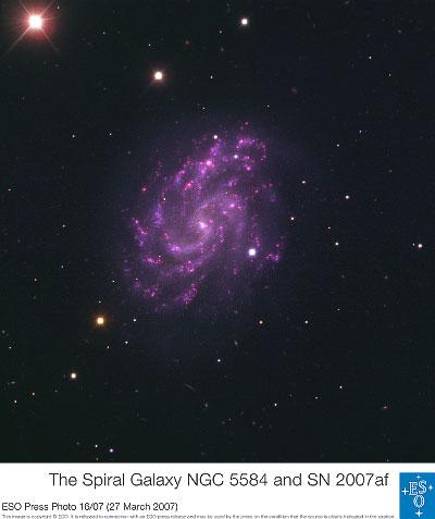 NGc 5584 and SN2007af