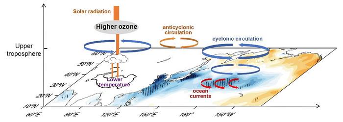 Schematic representation of the mechanisms by which the total column ozone changes influence North Pacific sea surface temperature during boreal winter under high Qinghai Tibetan Plateau total column ozone conditions.