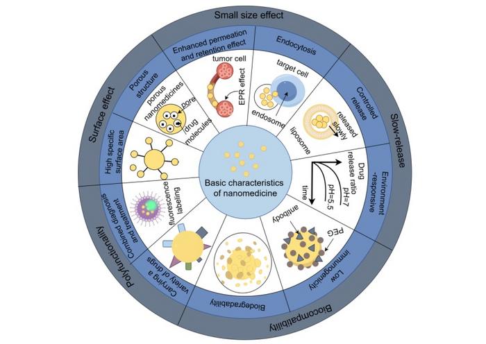 Intelligent delivery and clinical transformation of nanomedicine in breast cancer: from basic research to individualized therapy.