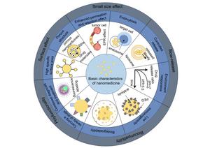 Intelligent delivery and clinical transformation of nanomedicine in breast cancer: from basic research to individualized therapy.