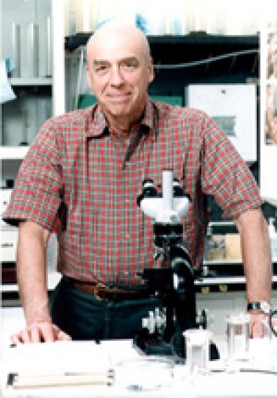 Carnegie's Donald Brown