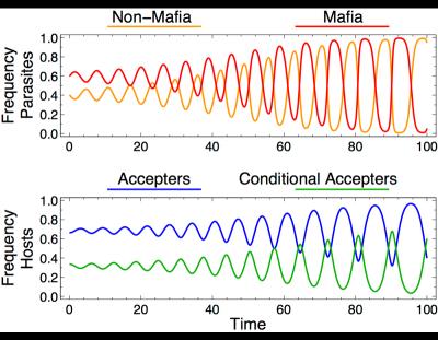 Mafia-like Behavior Birds