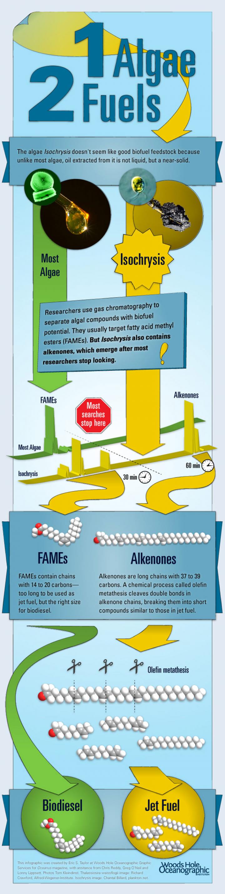 Biofuel Illustration