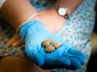 Tiny tubers