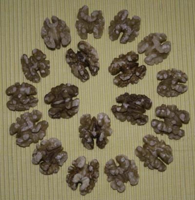 Dancing Walnuts