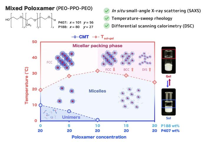 Study on how the behavior of poloxamer mixtures evolves depending on temperature and concentration