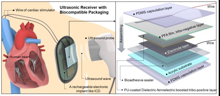 [Figure 2] Conceptual overview and internal schematic of the device
