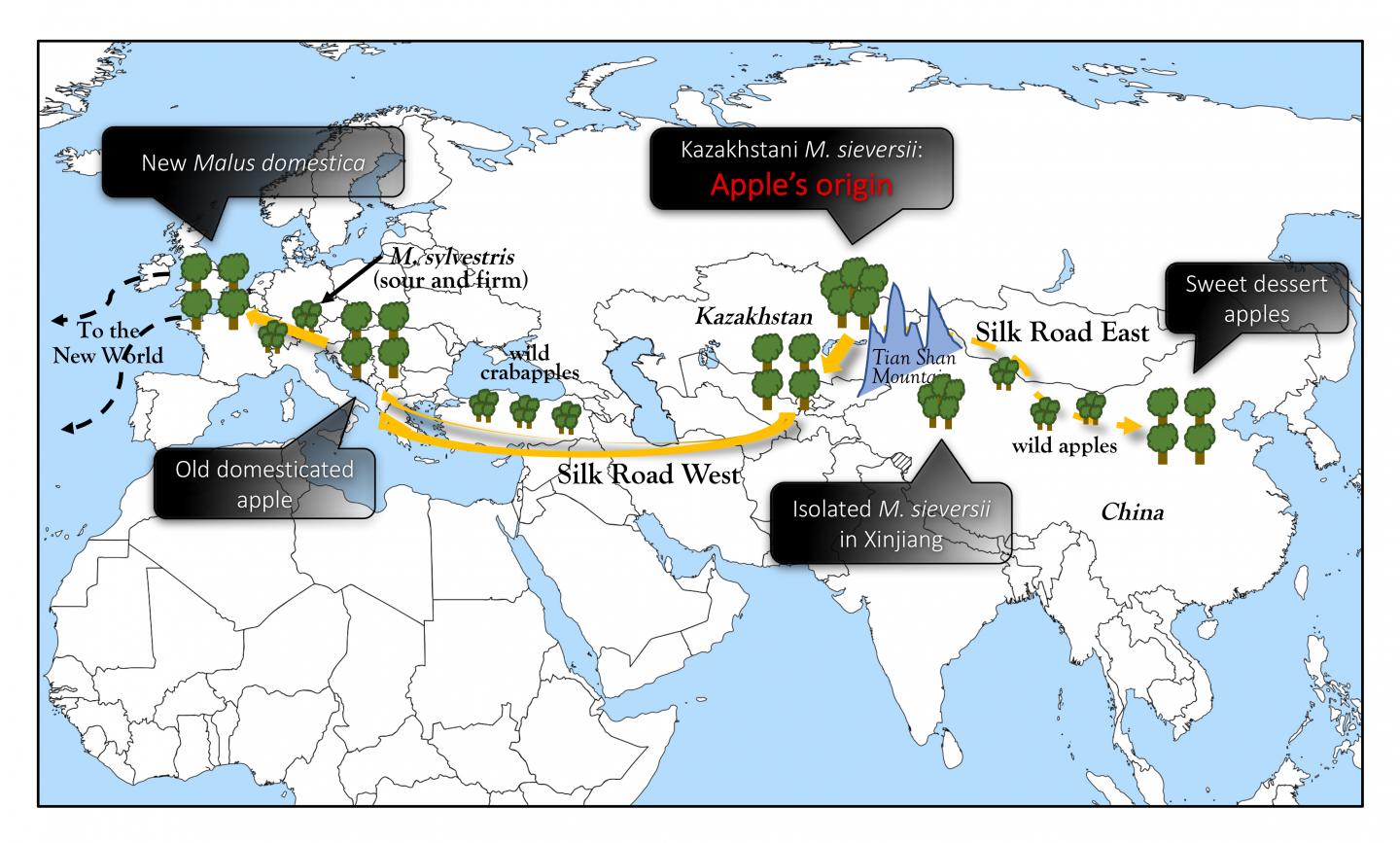 Apple's Evolutionary Map