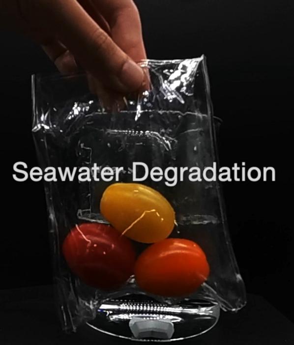 Plant-based plastic dissolves completely in artificial seawater