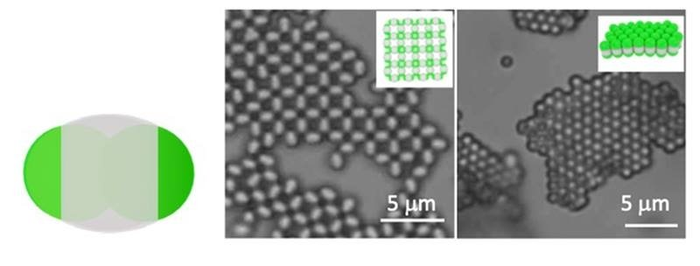 Making Designer Crystals? It’s Easier with a New Targeted Particle Bonding Strategy