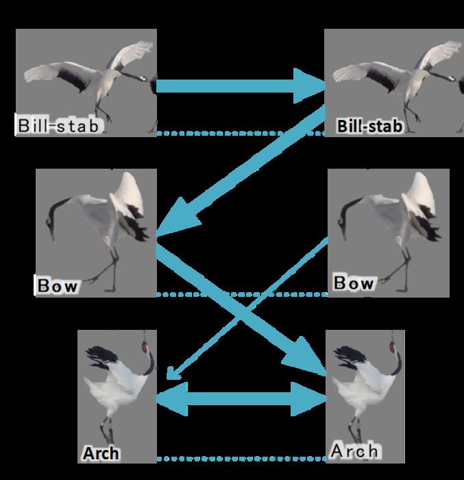 The rule of pair dances