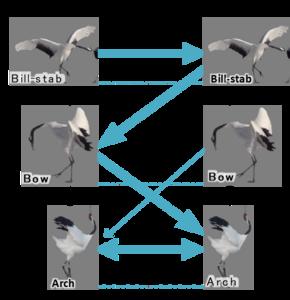 The rule of pair dances