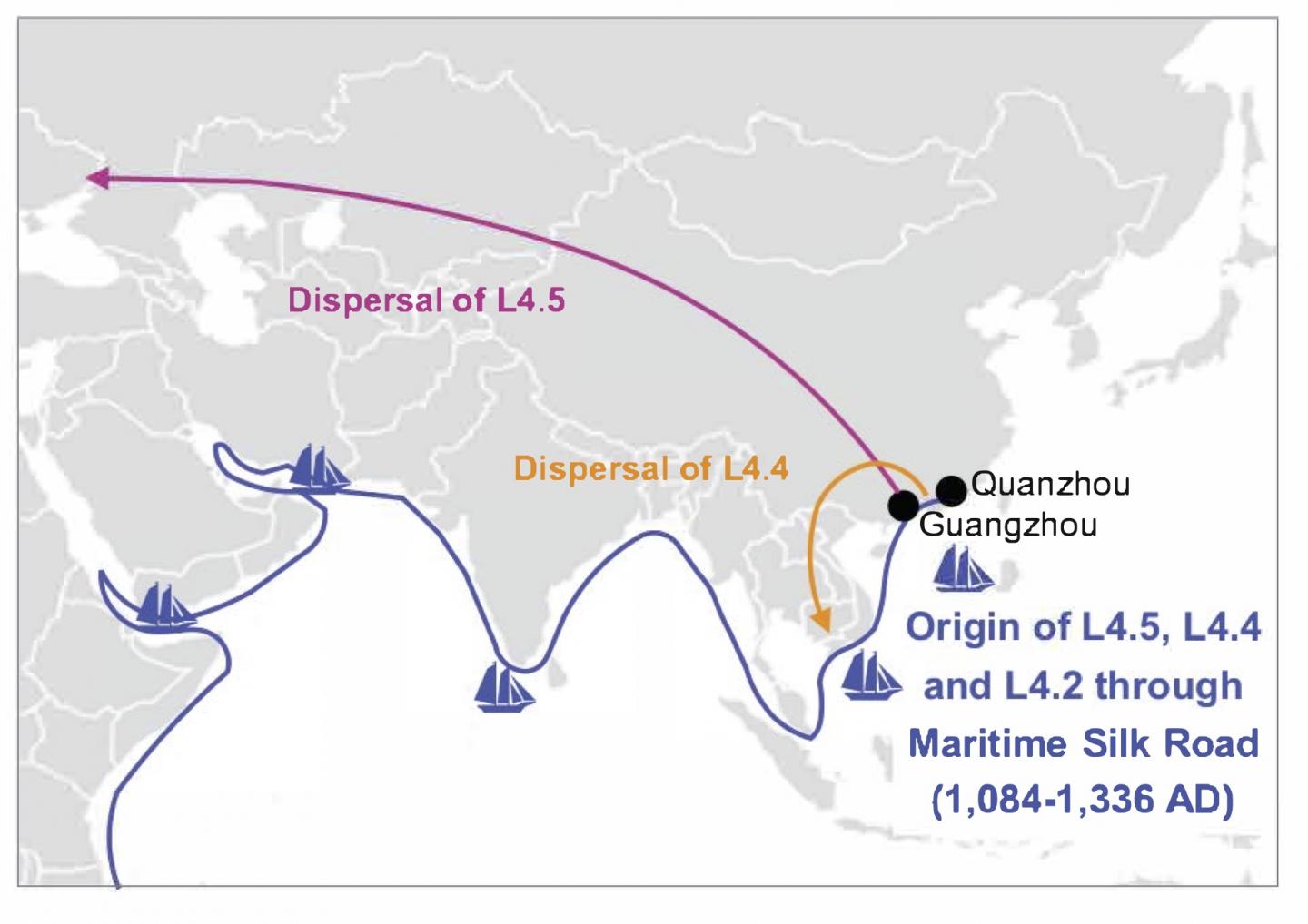 Pepperall Tuberculosis Map