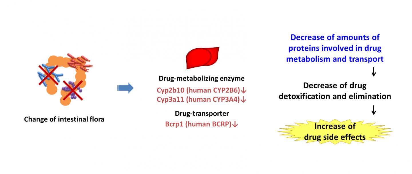 Changes in Protein Expression Levels