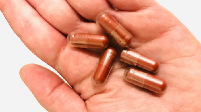 FMT Capsules for Oral Delivery