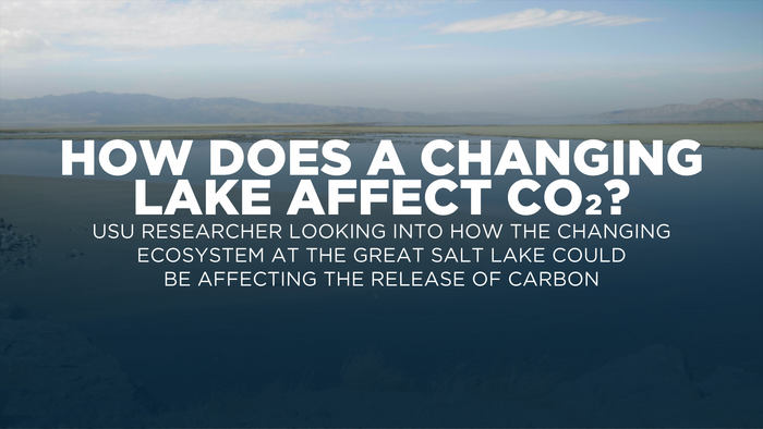 How Does a Drying Great Salt Lake Affect Carbon Cycling?