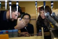 Scientists in lab