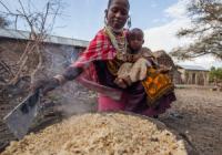 Wood for Cooking a Problem for the Serengeti