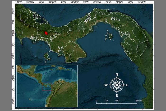 Map for the Clusia nanophylla location