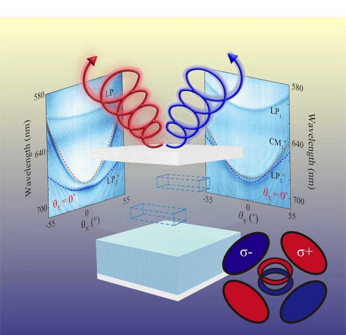 Hybrid spin–orbit coupling in organic microcavities.