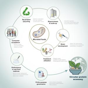 KAIST Opens the Era of Industrial-Scale Microbial Foods, Proposing Growth Strategies for the Next-Generation Protein Market