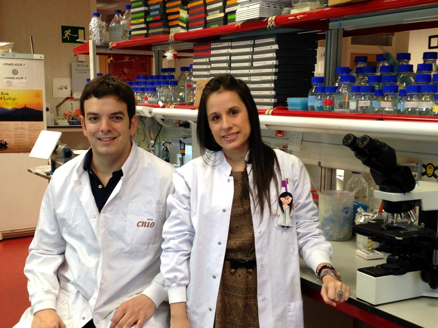 CNIO Researchers 