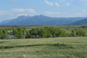 Field site