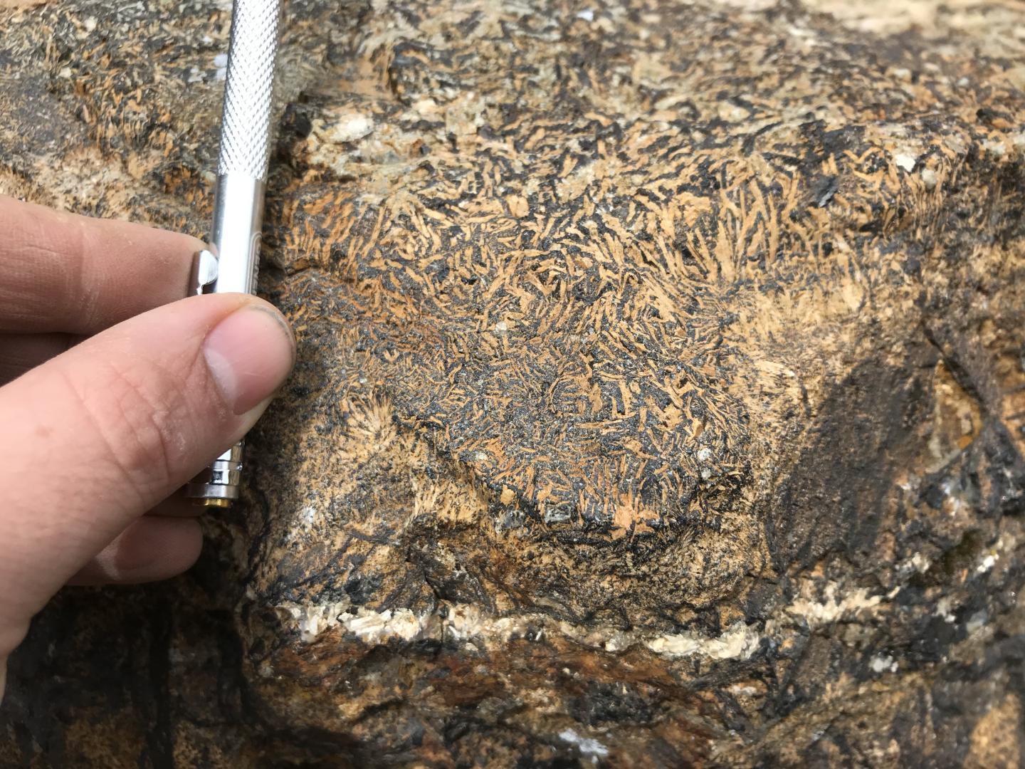 Iron Oxide-Apatite Ore