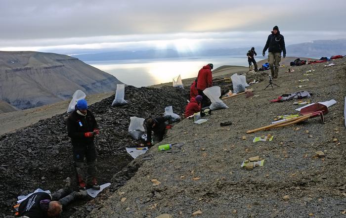 Ancient marine fossil bonebed site on Svalbard