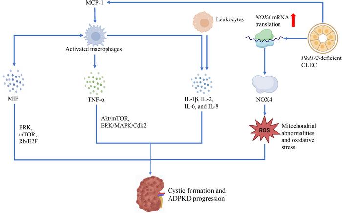 FIG 3