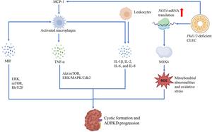 FIG 3