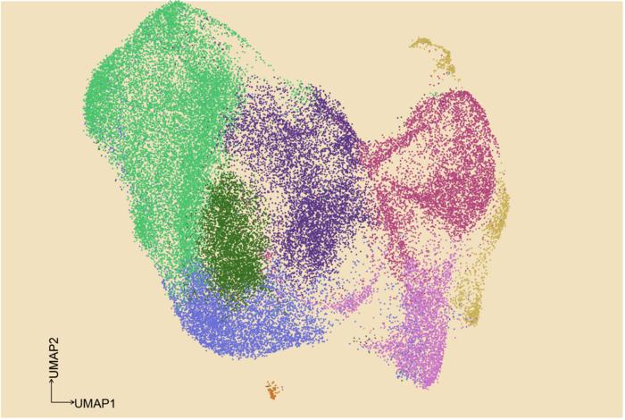 Cancer Progression Illuminated by New Multi-Omics Tool