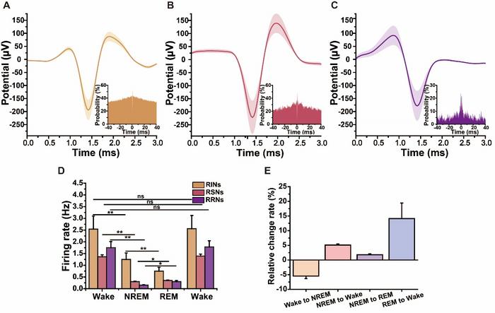 Fig. 4. MT MEA reveals distinct cell-level activity and DA concentrations in the NAc across wake, NREM, and REM sleep.