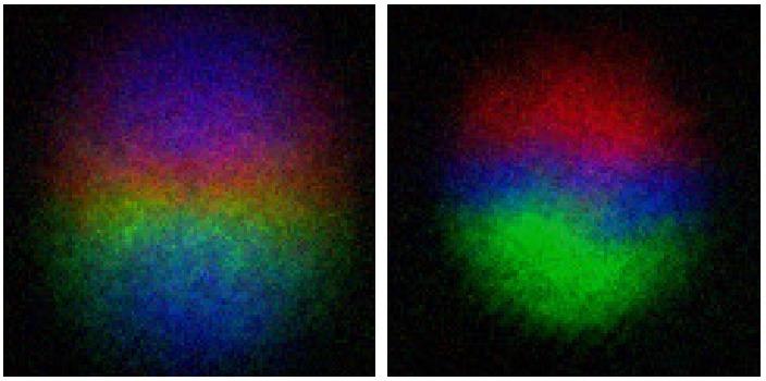 Experimental Side Image of the Quantum Monopole on the Left