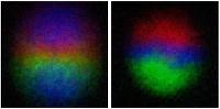Experimental Side Image of the Quantum Monopole on the Left