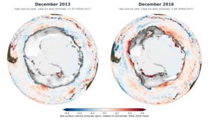 Changes of the sea-surface salinity after sea ice decline in 2016