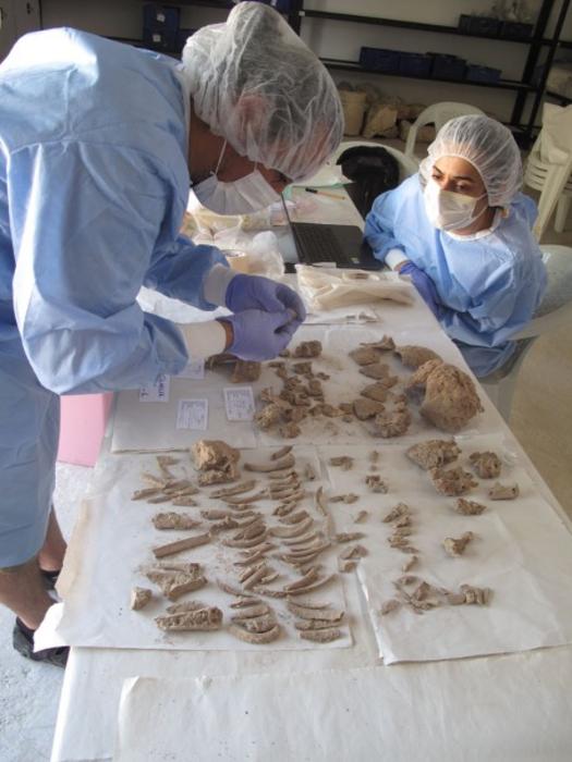 Scientists inspecting excavated specimens in Muğla, Turkey