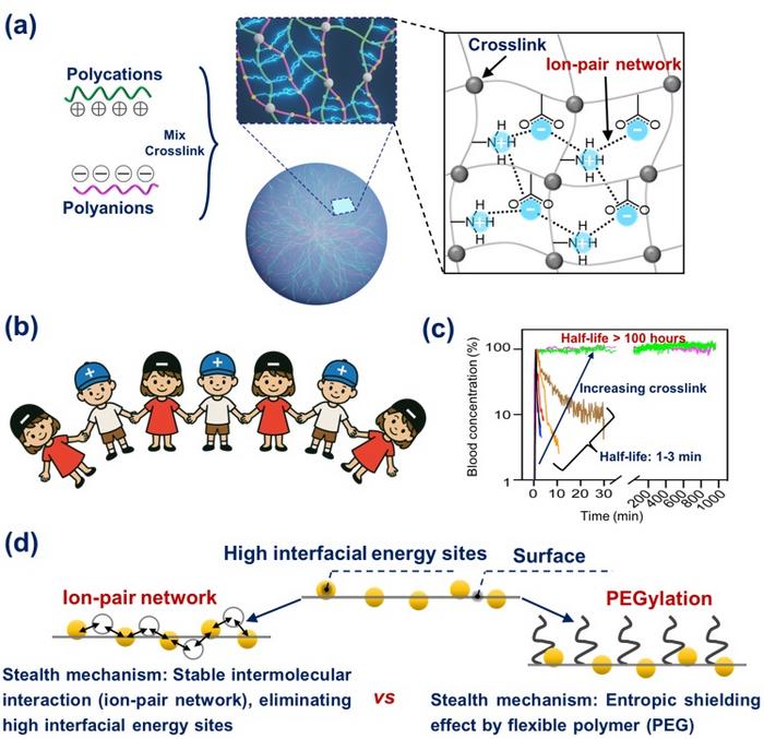 How the Stealth Ion-Pair Network is Prepared and How It Works?