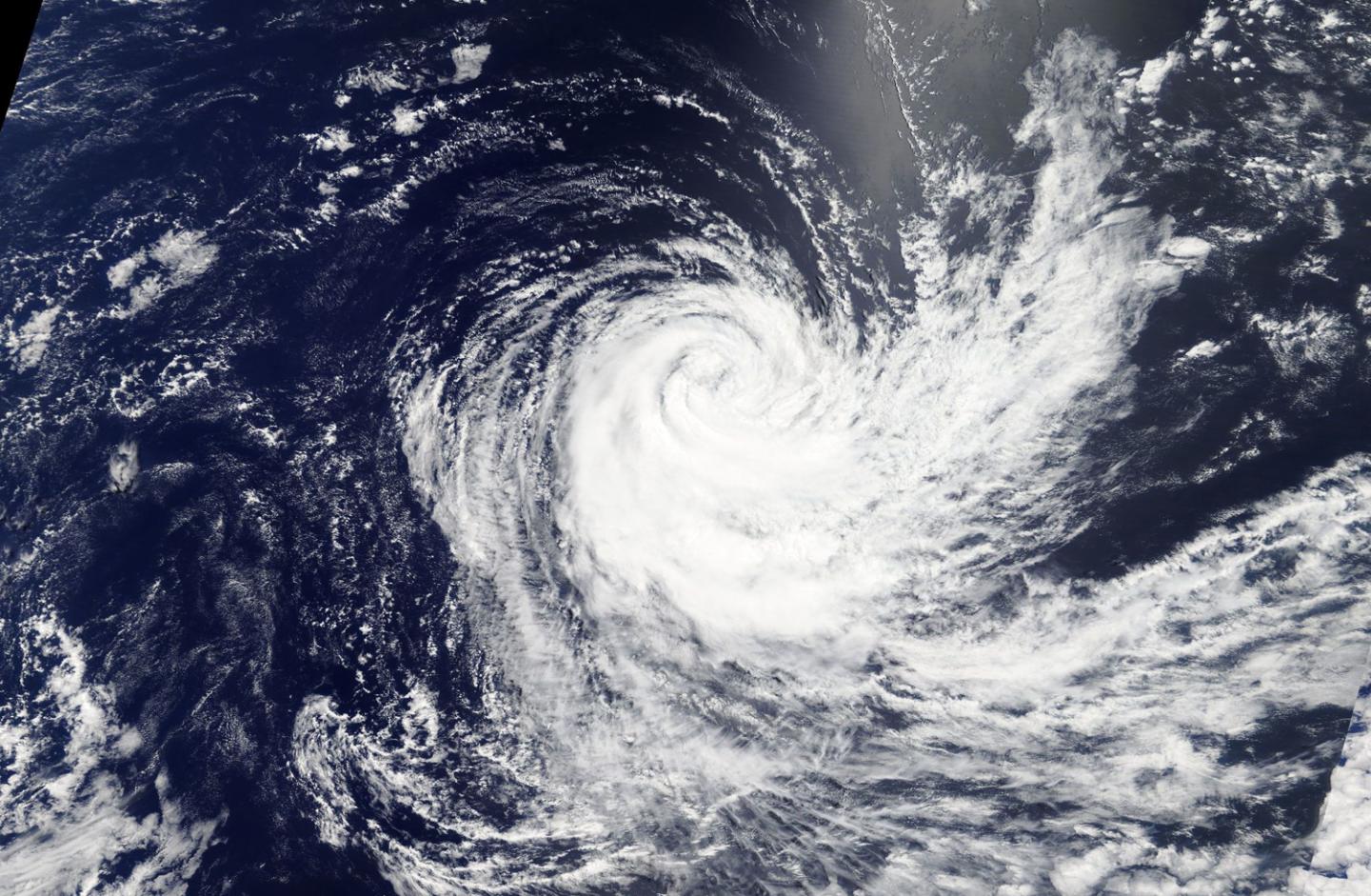Aqua Image of Cebile