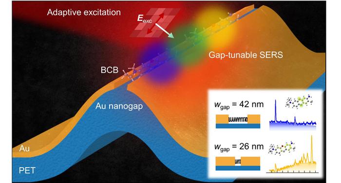 A Raman sensor featuring tunable gap fabricating of gold nanogaps on a flexible substrate, facilitating easy bending