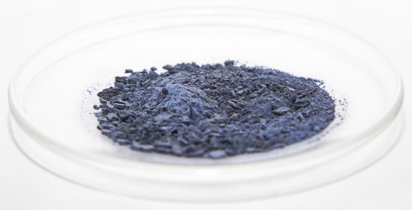 Indigoidine Dish