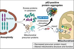Illustration of the research results