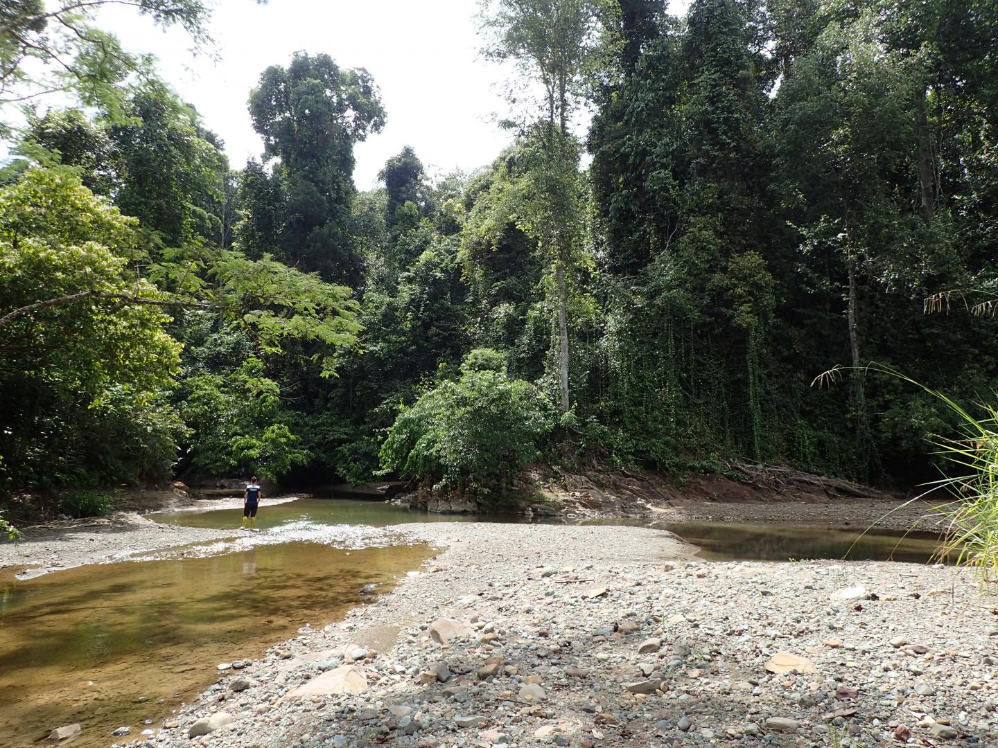 Sampling in a Stream