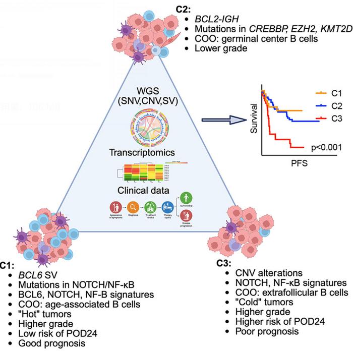 BGI Genomics scientists revel three new subtypes guides precision Follicular Lymphoma treatment