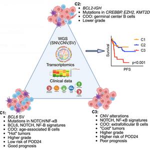 BGI Genomics scientists revel three new subtypes guides precision Follicular Lymphoma treatment