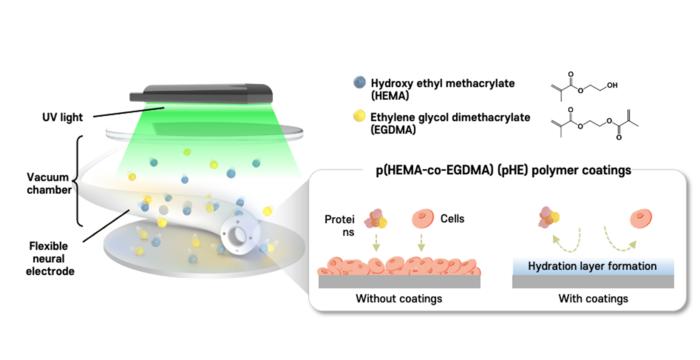 Schematic of photoinitiated chemical vapor deposition (piCVD) for surface modification of flexible neural electrodes