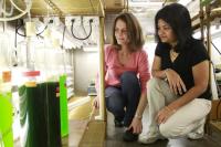 Scientists Study Bacterium that Produces Hydrogen Gas