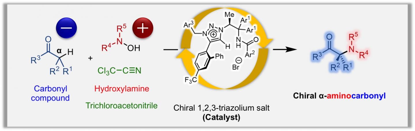 Direct Catalytic Asymmetric Introduction Of Non-Protected Amino Groups At The &#945;-Position Of Carbonyl