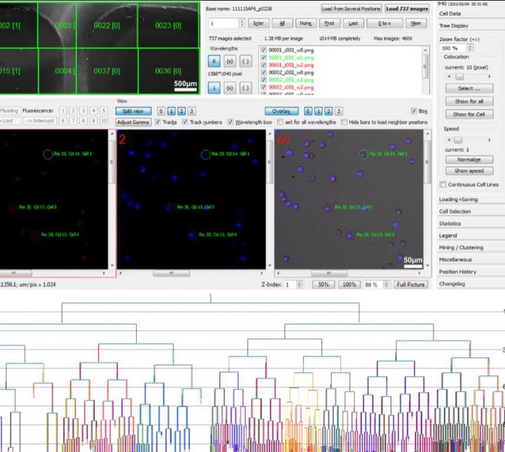 Screenshot of the New Software.